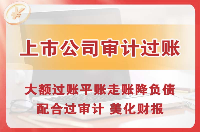 娄底上市公司审计过账